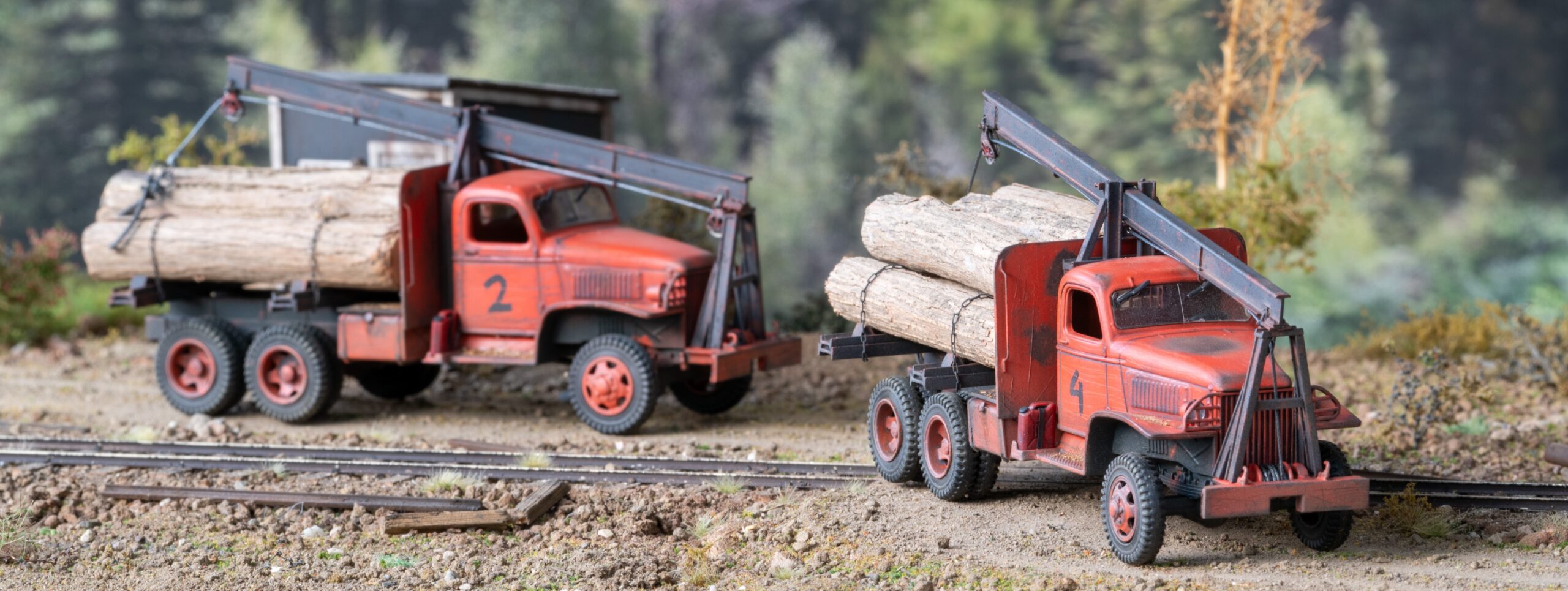 DSC_9990-lr s - Copy